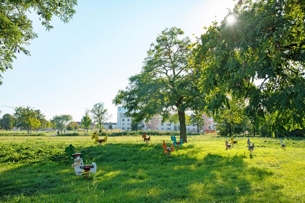 Die grüne Festwiese mit altem Baumbestand und Kinderspielgelegenheiten.