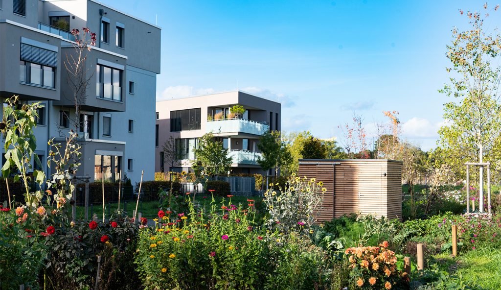 Nutzgarten mit Geräteschuppen und Wohnbebauung in FRANKLIN Mitte