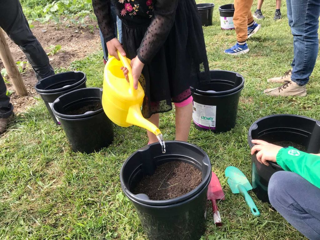 Eine Frau gießt mit einer Gießkanne Wasser in einen Plastikbottich voll mit Erde.