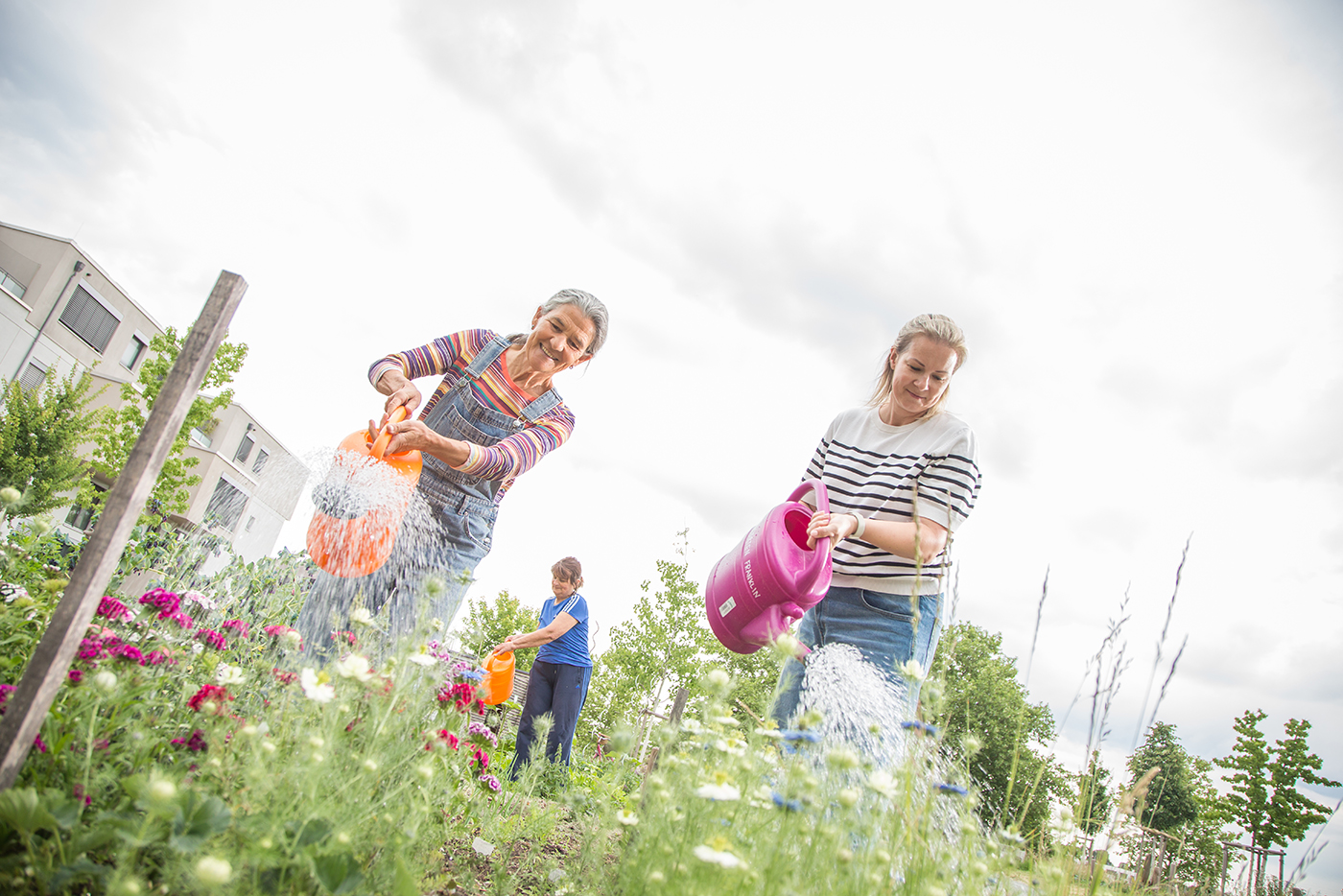 KI-basierte Bildbeschreibung | Drei Personen gießen an einem bewölkten Tag mit Gießkannen Blumen und Pflanzen in einem Gemeinschaftsgarten. Im Hintergrund sind Gebäude und Bäume zu sehen.