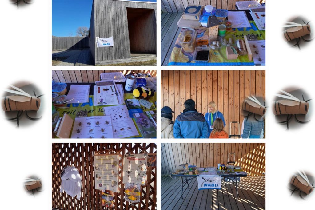 KI-basierte Bildbeschreibung | Sechs Bilder zeigen eine Informationsveranstaltung im Freien mit Tischen, auf denen Lehrmaterial, Insektenmodelle und ein NABU-Banner ausgestellt sind. Menschen diskutieren über anstehende Termine, während sie sich am hölzernen Veranstaltungsort austauschen.