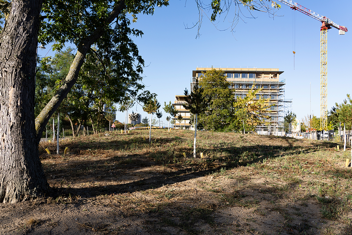 KI-basierte Bildbeschreibung | Eine Baustelle mit einem neuen Holzgebäude, Gerüsten und einem hohen Kran, gelegen hinter einem grasbewachsenen Hügel mit jungen Bäumen.